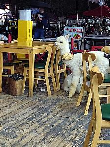 2024 11 PEKIN - LE VIEUX PEKIN  (23)